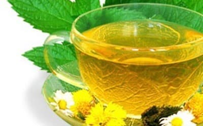 Фестиваль чая "Herbal Tea Day in Uzhgorod" Фестиваль чая "Herbal Tea Day in Uzhgorod"