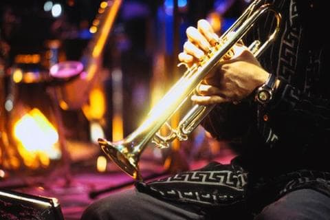 Джазовый фестиваль «Green jazz fest 2013» Джазовый фестиваль «Green jazz fest 2013»