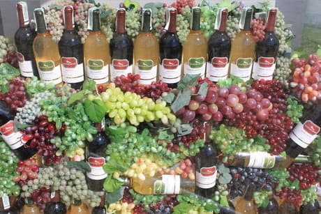 Фестиваль вина Wine Fest 2013 проведет Киев Фестиваль вина Wine Fest 2013 проведет Киев