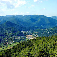 Карпати