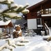 Chalet Vedmezhe 3
