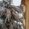 Uyitnyi dvor