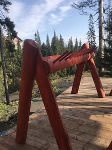 Отель Alpine Eco Chalet & Wellness