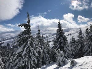 Отель Alpine Eco Chalet & Wellness
