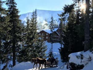 Отель Alpine Eco Chalet & Wellness