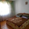 Подсолнух 4