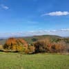 Соколув камень 1