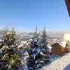 Арника 4