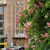 Manhattan High Line Apart 4