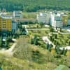 Медобори 1