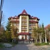 Арника