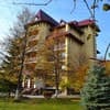 Арника 2