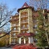 Арника 3