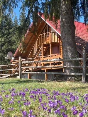 Private estate Luh tract, Vorohta: photo, prices, reviews