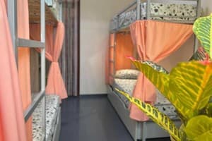 Гостиницы Киева. Гостиница Amely