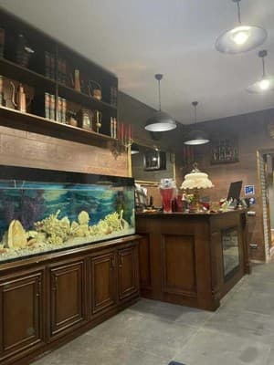 Бутик-отель Villa Rinat, Киев: фото, цены, отзывы