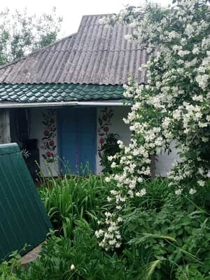 Private estate Grandma's House, Bohuslav: photo, prices, reviews