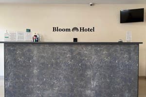 Готелі Харкова. Готель Bloom Hotel