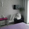 на ул. Дудинской 1а 3