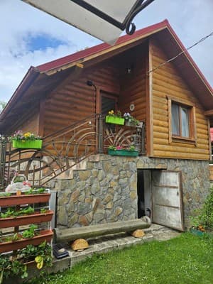 Cottage Bee House, Vorohta: photo, prices, reviews