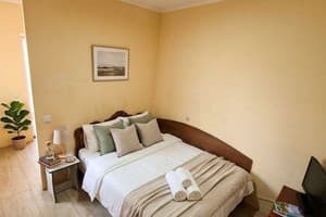 Гостиницы Черкасс. Гостиница Alexandr Apartments ул. Вячеслава Галвы 60/4