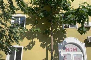 Гостиницы Одессы. Гостиница Happy Home Hostel
