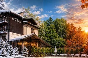Гостиницы Татарова. Гостиница Villa Billa