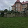 Любисток