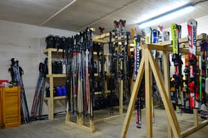 Частная усадьба Ski Хата