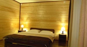 Отели . Гостиница Стандарт трехместный . 