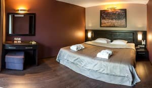 Best River Resort Bartolomeo. Room Suite Double with park view