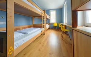 Friday. Room Bed in Mixed Dormitory quadruple room 4-bedded mixed dormitory room