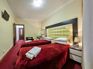 Hotels . Hotel Superior Double Twin. 