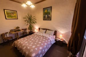 Отели . Гостиница Делюкс двухместный с балконом. 