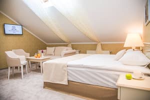 Pletnevskiy Inn. Номер Делюкс двомісний 