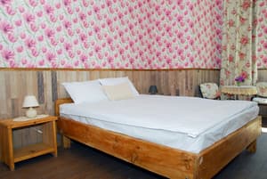 Отели . Гостиница Полулюкс двухместный Мак. 