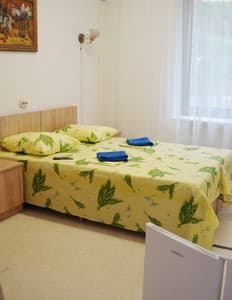 Отели . Гостиница Стандарт двухместный . 