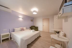 Отели . Гостиница Стандарт двухместный ОРХИДЕЯ. 