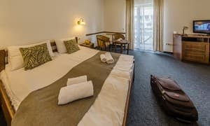 Отели . Гостиница Люкс трехместный с видом на горы. 