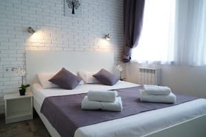Sky Home Голосеевский. Номер Улучшенный двухместный 