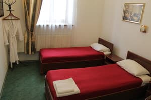 Dvortsovyi. Room Standard Double 
