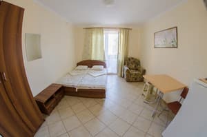 Отели . Гостиница Эконом двухместный с балконом (корп. Ц). 