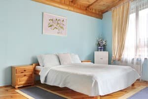 Поляна Кохання. Номер Полулюкс двухместный 