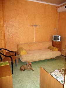 Отели . Гостиница Оливка. 