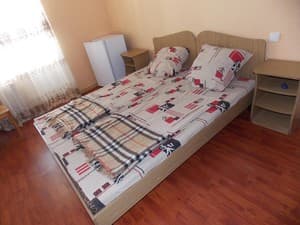 Отели . Гостиница Стандарт двухместный . 