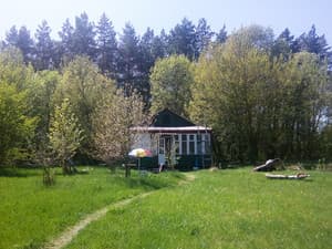 Домик под Батурином. Номер Коттедж 6-местный 