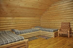 Отели . Гостиница Стандарт трехместный . 