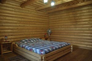 Отели . Гостиница Стандарт двухместный . 