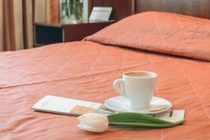 Готелі . Готель Класік двомісний Double. 