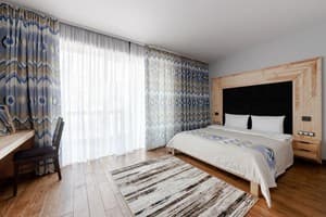 Отели . Гостиница Люкс двухместный . 